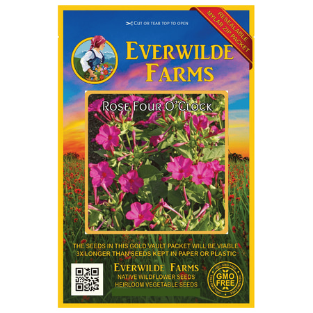 Everwilde Farms - 50 Rose Four O Clock Garden Flower Seeds - Gold Vault Jumbo Bulk Seed
