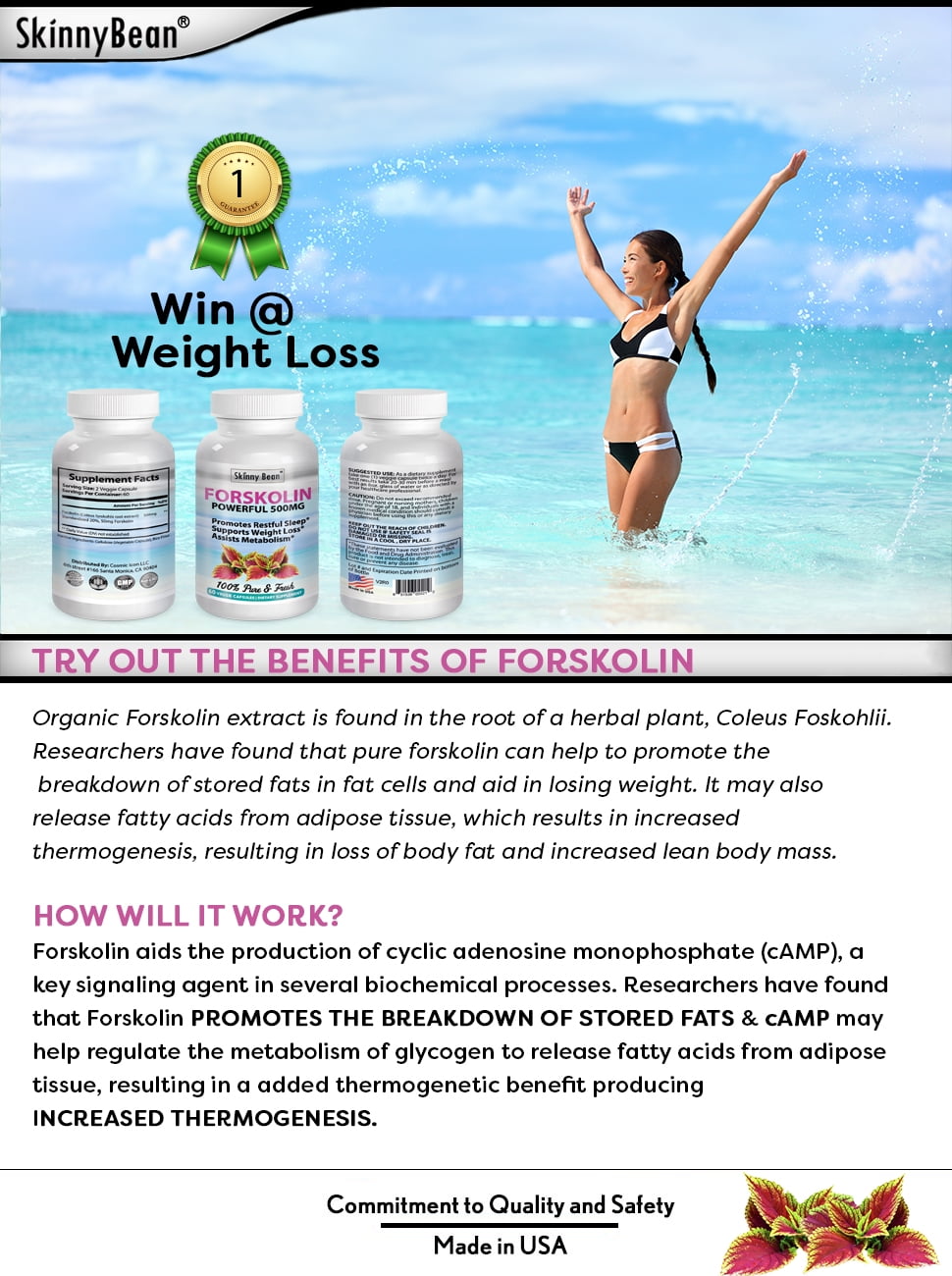 Strong 500mg Forskolin Extract For Weight Loss Pure Walmart Com Strong 500mg Forskolin Extract For Weight Loss Pure Walmart Com