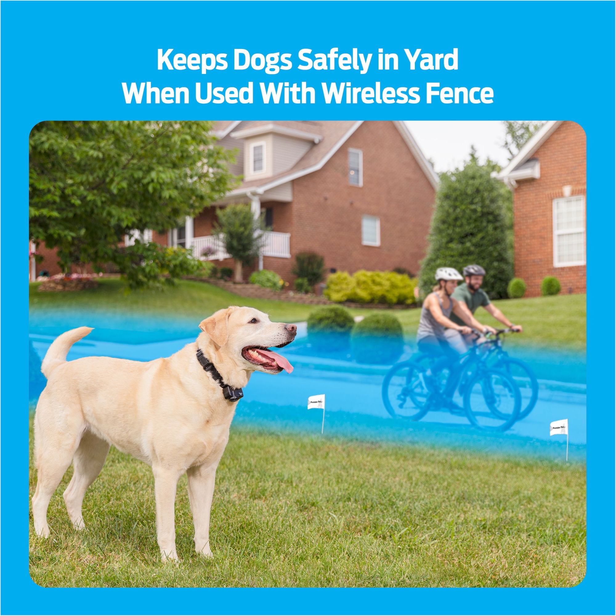 Premier pet wireless fence extra collar 2025