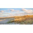 thumbnail image 2 of Ryan, Brooke T. 18x11 Gold Ornate Wood Framed with Double Matting Museum Art Print Titled - Grassy Dunes Panorama, 2 of 4