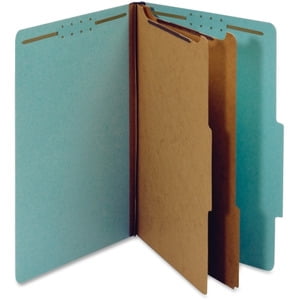Pendaflex 2-divider Recycled Classification Folders