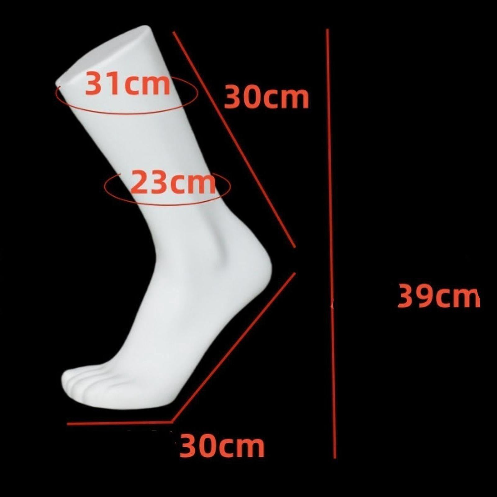 Zxpjkyu Male Mannequin Foot Model with Magnetic Base Photo Prop Sock Display Model for Long Black