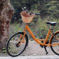 thumbnail image 3 of Cestas de bicicleta de ratán vintage para niños, cesta para bicicleta, scooter, cesta delantera para bicicleta para niños, XS (color madera), 3 of 5