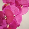 thumbnail image 3 of BalsaCircle 2 Fuchsia 40" Artificial Faux Silk Orchid Flowers Sprays Stems Home Party, 3 of 8