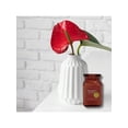 thumbnail image 3 of Velas Aromáticas Decorativas Premium, Papaya Roja y Mango, Vela Grande 450g 16oz, Velas de Aromaterapia, Perfume de Larga Duración 90 hrs, Exotismo y Duración Encantadora, 3 of 8