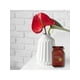 thumbnail image 3 of Velas Aromáticas Decorativas Premium, Papaya Roja y Mango, Vela Grande 450g 16oz, Velas de Aromaterapia, Perfume de Larga Duración 90 hrs, Exotismo y Duración Encantadora, 3 of 8