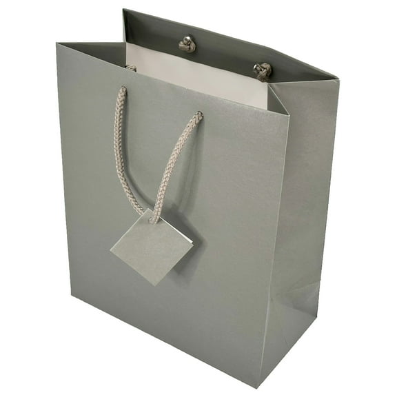 NicePackaging 10 Qty Matte Grey Paper Tote Gift Bags 8in x 4in x 10in For Birthdays/Holidays/Parties/Gifts/Sales/Showers/Special Occasions 4 Sizes
