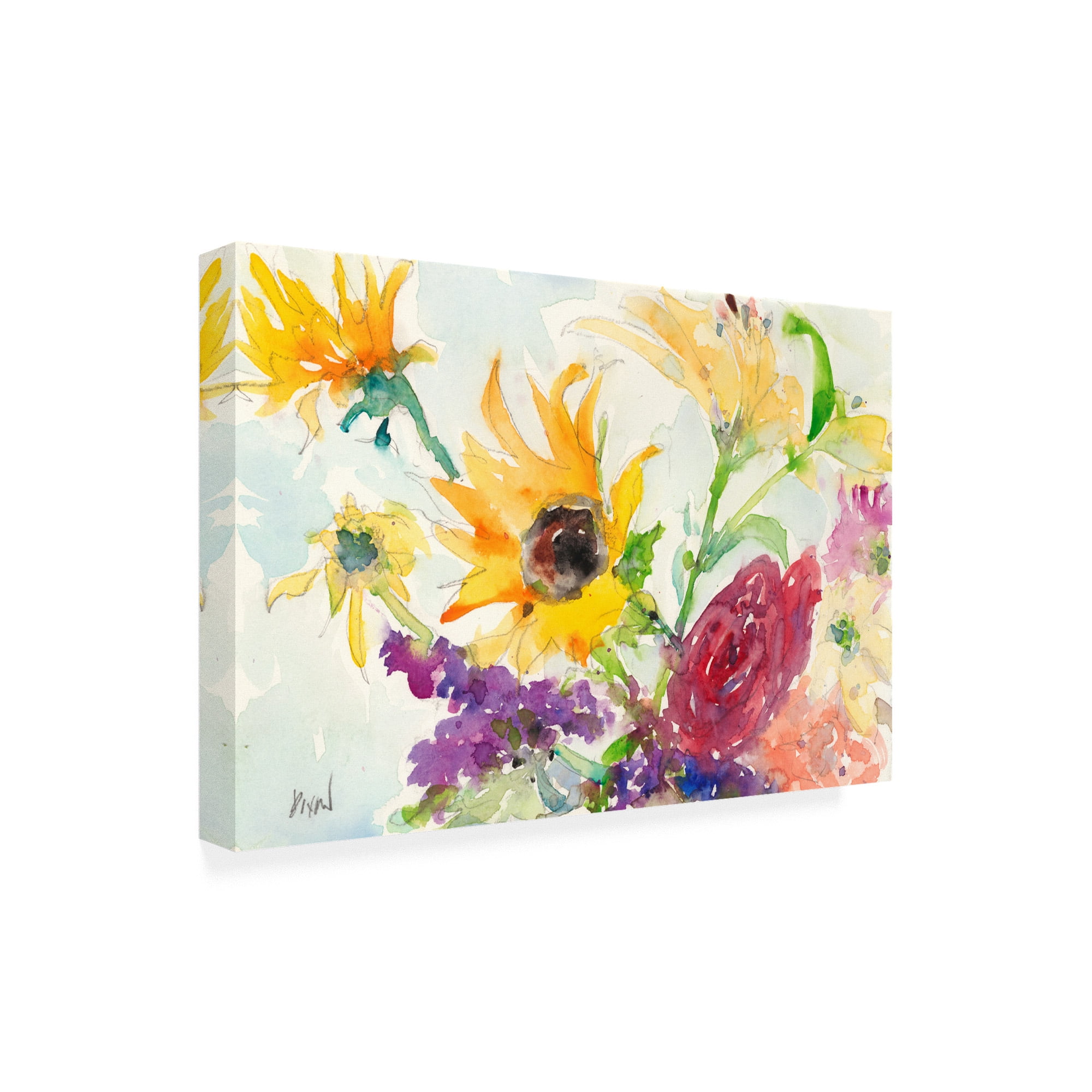Trademark Fine Art 'Bright Wild Flowers I' Canvas Art by Samuel Dixon