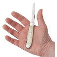 thumbnail image 5 of Case XX Knives Mini Trapper Smooth Natural Bone Stainless Steel Pocket Knife, 5 of 5