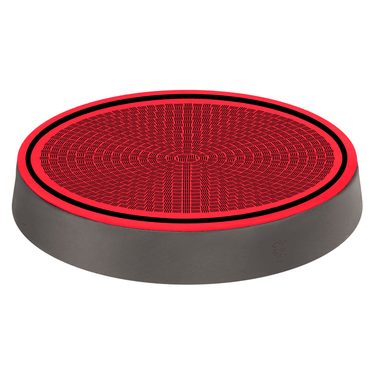 MinnARK Flying Dodge Disc, 10.75 Inch Foam Disc photo 4