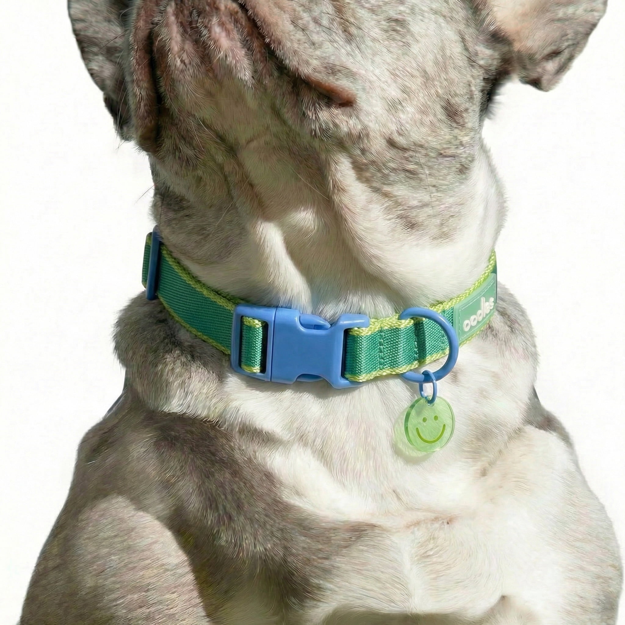 Oodles Smiley Charm Striped Polyester Fashion Dog Collar, Green, XL