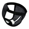 thumbnail image 1 of 6xPantalones Fisiológicos Para Perros, Pañales Impermeables Para Entrenamiento Para Mascotas, Tamaño Grande, Negro, 1 of 5