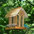 thumbnail image 3 of Perky-Pet Brown Mountain Chapel Wild Bird Feeder - 3.5 lb Capacity, 3 of 8