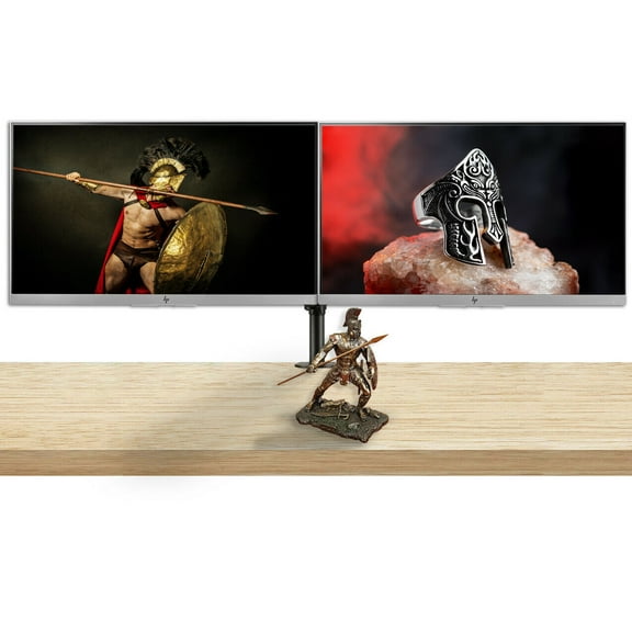 HP E243 24 Inch Full HD 1920x1080 Monitors 2-Pack Bundle with Dual Monitor Stand and Achilles Statue Desk Decor - HDMI - DisplayPort - VGA - USB - Anti Glare - IPS - 1FH47A8#ABA