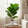 thumbnail image 3 of QinaQin 15.7" Faux Fiddle Leaf Fig Tree Indoor, 2 Pack Artificial Potted Ficus Trees with White Pots and Cement Moss Base, Small Fake Potted Ficus Plants with Realistic Leaves, 3 of 8