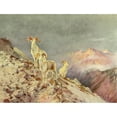 thumbnail image 2 of Rungius, Carl 24x19 Black Modern Framed Museum Art Print Titled - Rams, 2 of 4