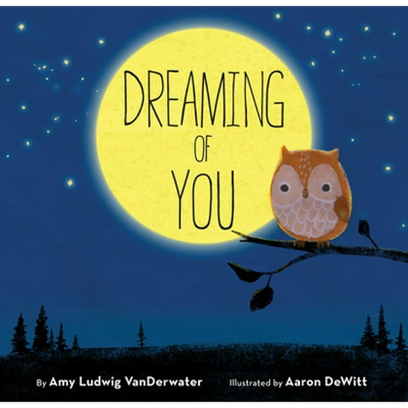 Pre-Owned Dreaming of You (Hardcover 9781629792125) by Amy Ludwig Vanderwater