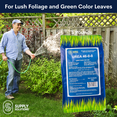 thumbnail image 3 of Supply Solutions Urea Nitrogen Organic Indoor Outdoor Lawn Fertilizer - Plant Food (5 Pounds), 3 of 8