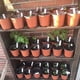 thumbnail image 5 of Zhuge 100 macetas de plástico de 6" para viveros, plántulas, flores, plantas, contenedores para iniciar semillas, 5 of 5