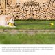 thumbnail image 4 of Juguete Remolcador Exterior TFixol Amarillo, 4 of 8