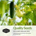 thumbnail image 6 of Cucumber Seeds 5 Variety Pack - Non-GMO Heirloom Full Sun Annual Vegetable, 6 of 9