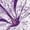 Purple, variant on Pipeline Waveflower Floral Themed Graphic Tee - T-shirt Women's