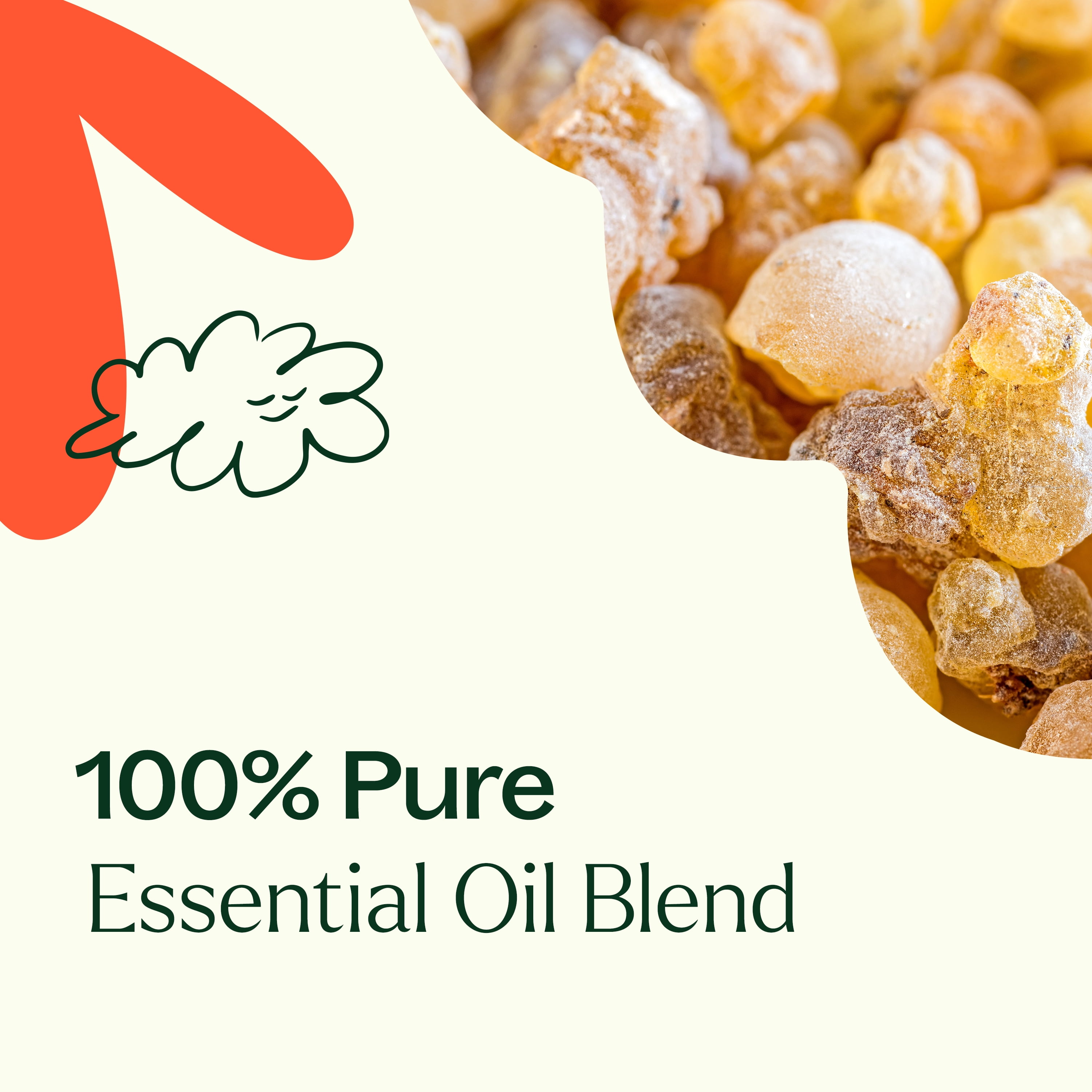 Plant Therapy Fantastic Franks Essential Oil Blend 10 mL (1/3 oz) 100% Pure, Undiluted, Natural Aromatherapy