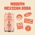 thumbnail image 4 of (Pack Of 12) De La Calle Tepache Grapefruit Lime 12 Fl Oz, 4 of 6