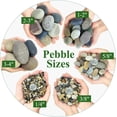 Inside Rivers Astetic 40lbs Natural River Rocks, 3