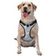 thumbnail image 1 of Fotbe Lily Flower Arnés para Perro con Estampado –Chaleco Ajustable Acolchado con Asa de Control para Perros Grandes-Small, 1 of 6