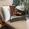 thumbnail image 1 of Ahgly Company Coussin d'Extérieur Animaux Tortue, 18 Pouces par 18 Pouces, 1 of 6