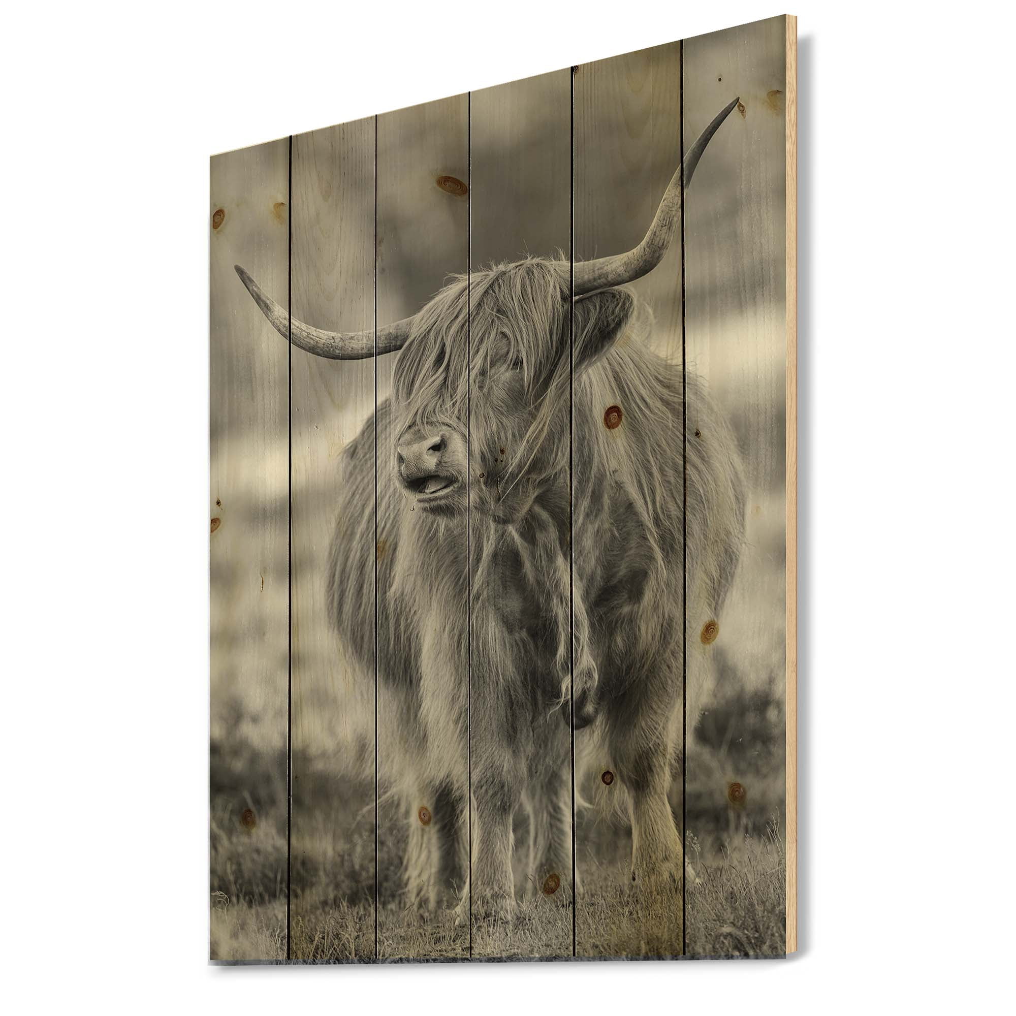 Designart 'Close Up View of Monochrome Bull' Farmhouse Print on Natural Pine Wood