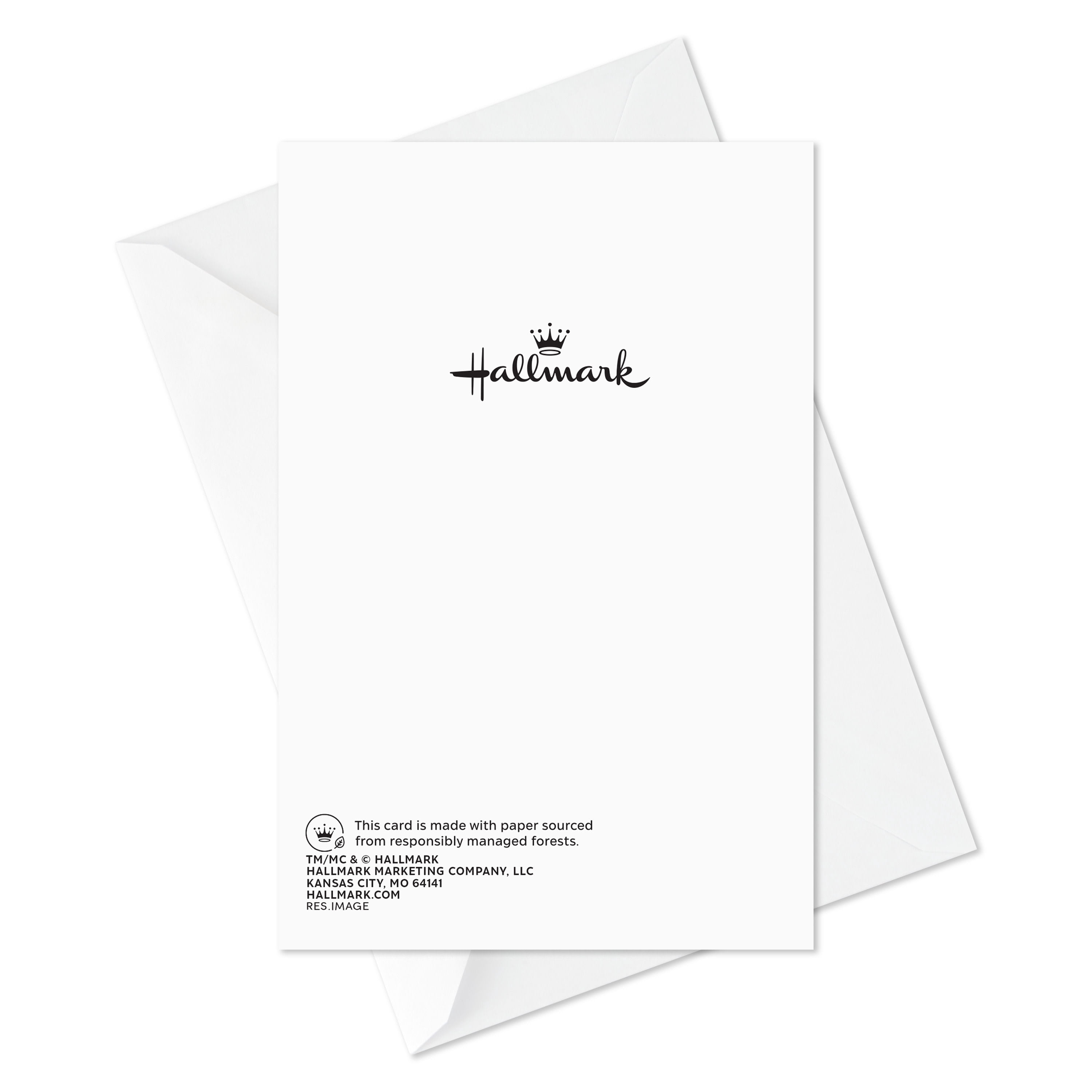 Hallmark Thanksgiving Cards (E Thing), 6 Count