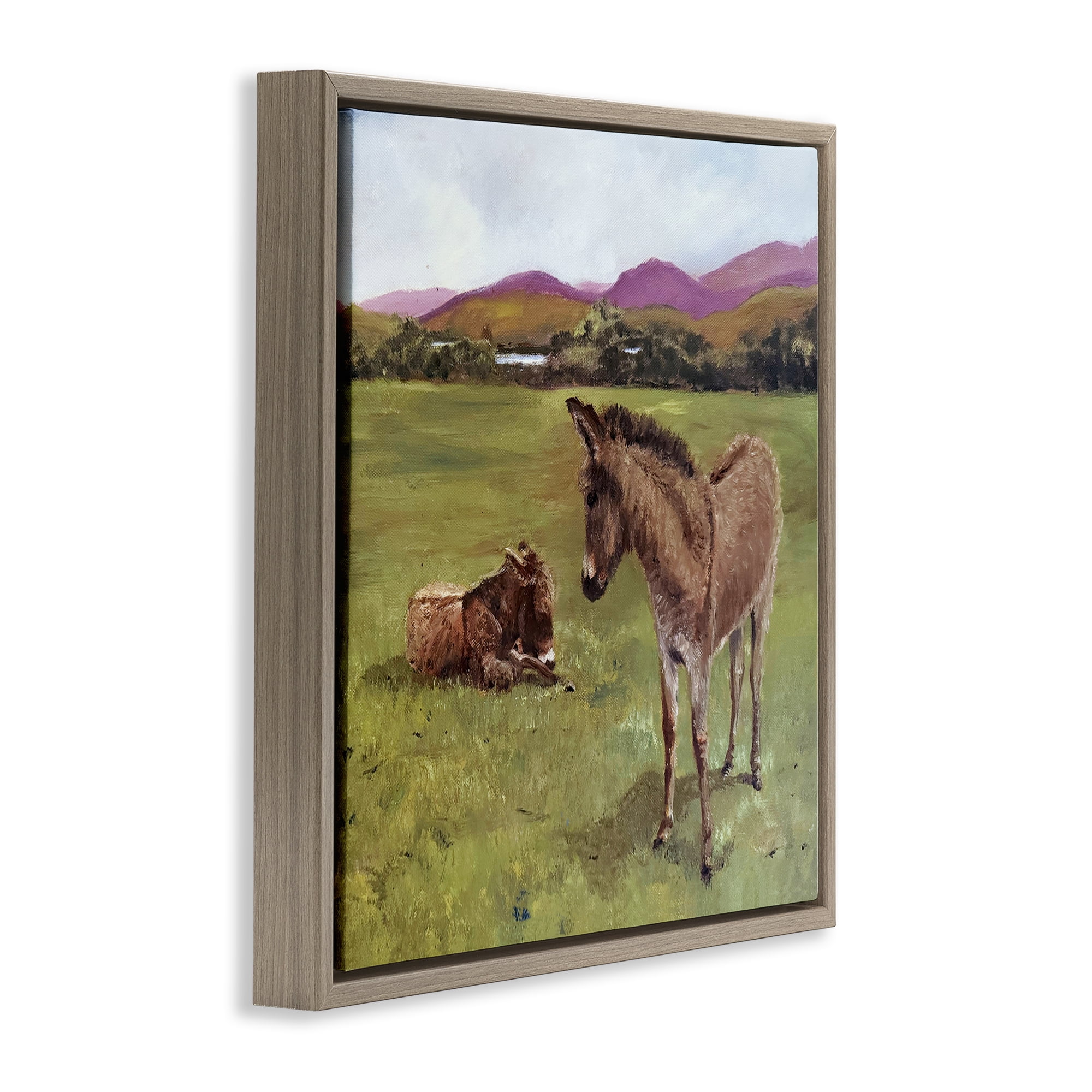 Donkey Duo in Pasture Brown Framed Floater Canvas Wall Art, design by Patricia Reynolds