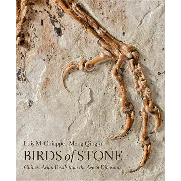Birds of Stone : Chinese Avian Fossils from the Age of Dinosaurs (Hardcover)