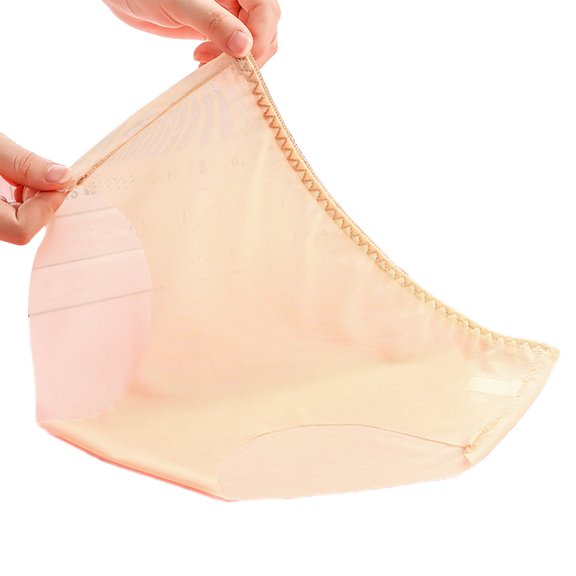 Quixlent Women's Underwear Mid Rise Seamless Sheer Mesh Panties Ultra-Thin Sexy See Through Soft Nylon Briefs