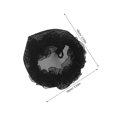 thumbnail image 2 of unbranded 10Ud Redes Elásticas Negras Para Moños De Ballet Con Material Reutilizable Y Cómodo Para Uso Prolongado, 2 of 8