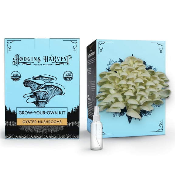 Hodgins Harvest Organic Oyster Mushroom Grow-Your-Own Kit