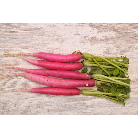 100 Seeds PINK SUMMERSICLE RADISH Raphanus Sativus Root Vegetable Seeds