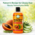 thumbnail image 2 of Revitalizing Mamey, Aloe Vera & Rosemary(Sábila y Romero) Shampoo – 16.9 fl oz (500 ml) – Herbal Daily Cleanser for Hydration & Shine – Nourishing Formula for Stronger-Looking Hair, Viral., 2 of 10