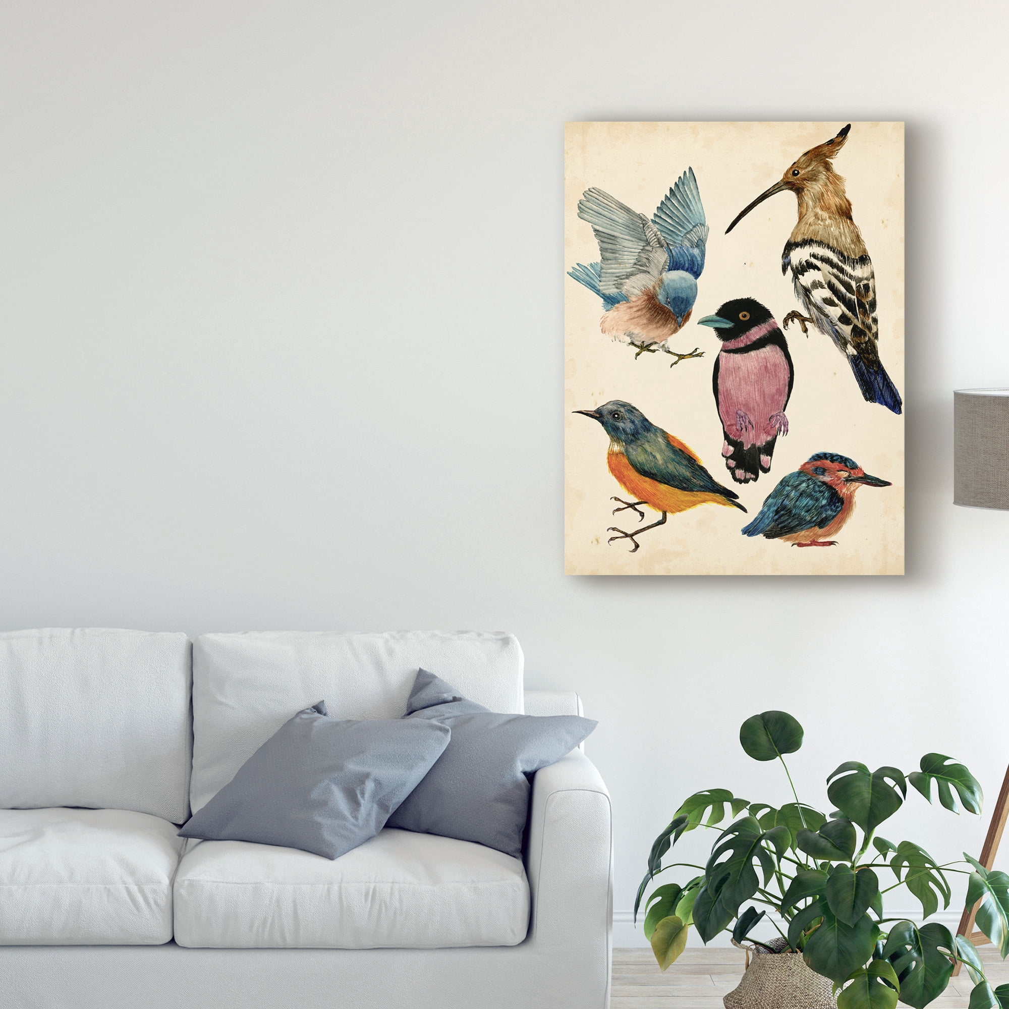 Trademark Fine Art 'Bird Collection I' Canvas Art by Melissa Wang