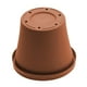 thumbnail image 4 of Maceta Bloem Terra de terracota de 10 cm con drenaje, 4 of 5