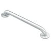 Moen R8724PS Polished stainless 24" concealed screw grab bar