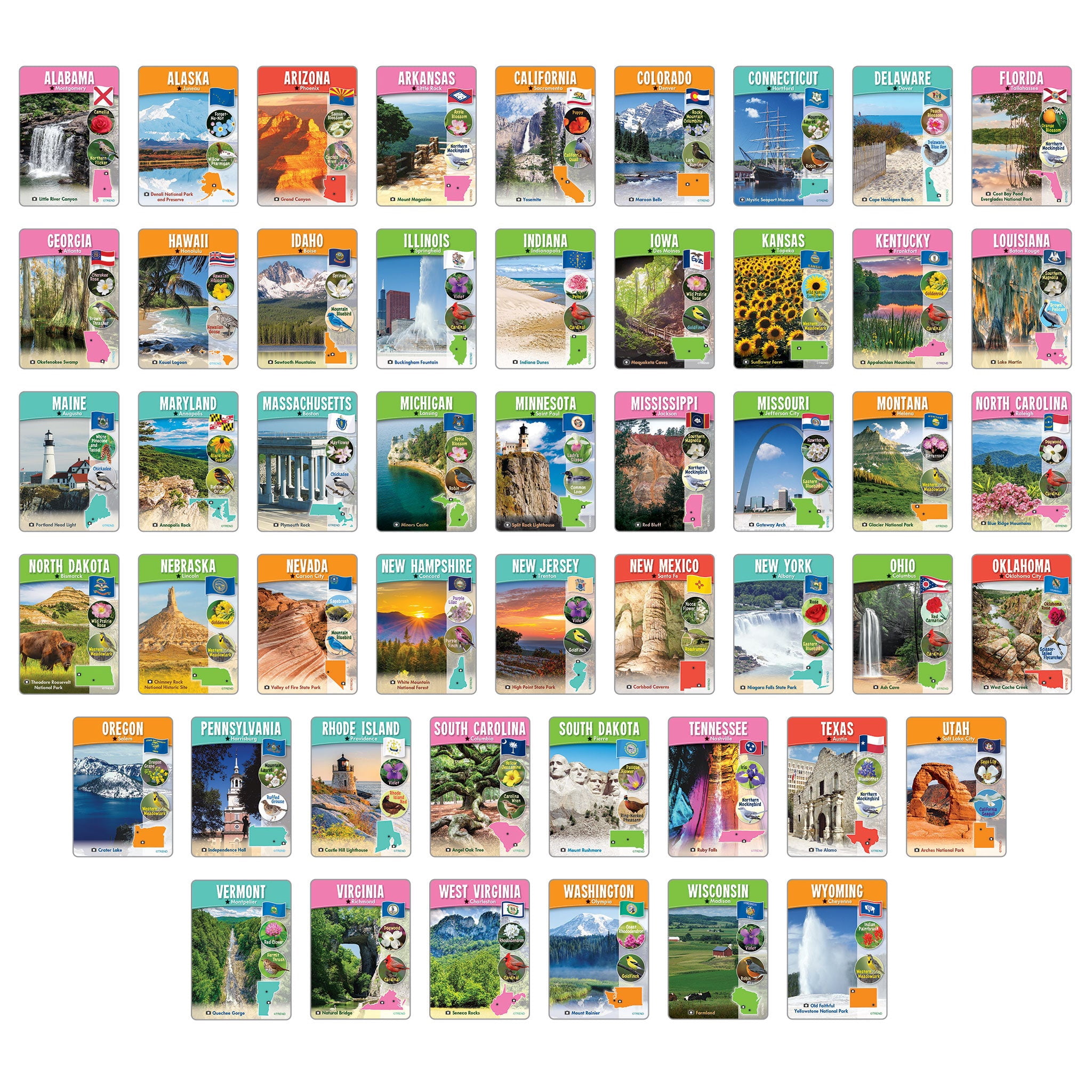 TREND The Wipe-Off Learning Set