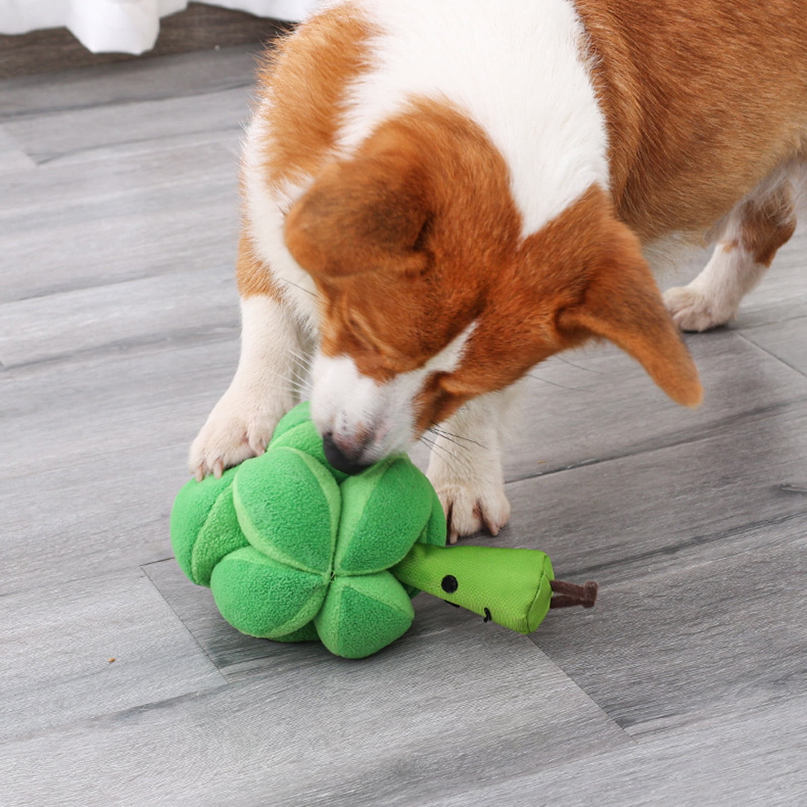 Broccoli Interactive Dog Toy – WOOFELITE