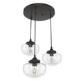 thumbnail image 2 of Hunter - Saddle Creek 3-light Noble Bronze, Medium Size Cluster Light, Dimmable, Schoolhouse Style, Round Shaped, for Bedrooms, Kitchens, Dining, Living Rooms - 19503, 2 of 7
