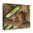 thumbnail image 2 of African Tree Pangolin Hanging On The Tree Staring African Tree Pangolin Outdoor Wall Art Ready To Hang Unframed, 2 of 7