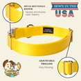 thumbnail image 5 of Country Brook Petz® Premium Nylon Dog Collar with Metal Buckle for Small Medium Large Breeds (Medium, 3/4 Inch, Yellow), 5 of 6