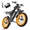 M9/48V/20AH, variant on Loonfat Electric Bike, 750W Motor 28MPH Ebike for Adults, 70 Miles Range, 20"x4" Fat Tire, 48V/15.6Ah Mountain E-Bike, Full Suspension, NFC Unlock, UL 2849