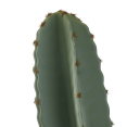 thumbnail image 3 of Bouclair Green Artificial Cactus in Ceramic Pot, 3 of 10